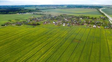 oben Aussicht von ein gesät Grün Feld und ein klein Dorf im Weißrussland. landwirtschaftlich Felder im das Dorf foto