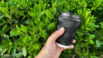 schließen oben von Hand halten gerippt schwarz Einweg Kaffee Tasse mit Deckel gegen beschwingt Grün Buchsbaum Hecke Hintergrund. schnell Kaffee brechen draußen Konzept. foto