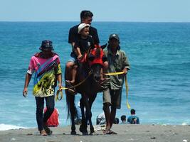 Kebumen, zentral Java, Indonesien April 11, 2024 Menschen genießen Ferien Reiten ein Pferd während hell Tageslicht beim ambal Strand. Sommer- Familie Tourist Stelle mit Ozean Welle Hintergrund. foto