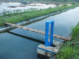 Bewässerung Kanal mit Blau Metall Tür zum Reis Felder foto