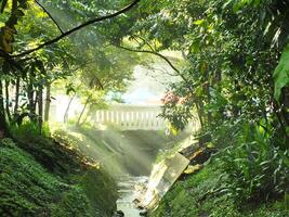 mystisch Morgen Sonnenstrahlen auf ein Park mit Brücke wie ein Hintergrund. Sonnenlicht durch Bäume und Fluss foto