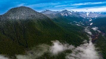 ein atemberaubend ausgebreitet Berg bedeckt mit dick Kiefer Baum Wald. Drohne Annäherung das schneebedeckt oben von ein enorm montieren. National Park montieren Rainer, Washington Zustand, das USA. foto