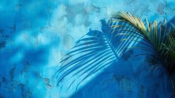 Blau Mauer mit Schatten von Palme Baum. foto