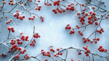 schneebedeckt Tafel Rahmen gerahmt durch Geäst mit rot Beeren bedeckt im Frost. Kopieren Raum. foto