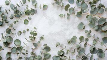Eukalyptus Geäst auf Pastell- grau Hintergrund mit Kopieren Raum oben Sicht. Attrappe, Lehrmodell, Simulation Bild. foto