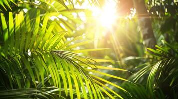 Foto von Sonne Strahlen Vorbeigehen durch das üppig Grün Palme Baum Blätter, Strand Sommer- Konzept, Hintergrund