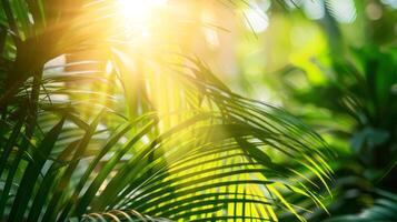 Foto von Sonne Strahlen Vorbeigehen durch das üppig Grün Palme Baum Blätter, Strand Sommer- Konzept, Hintergrund