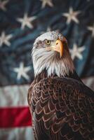 ein kahl Adler ist Stehen im Vorderseite von ein amerikanisch Flagge foto