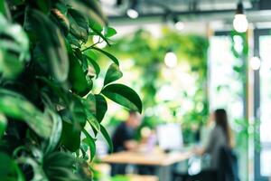 modern Büro Raum mit Leben Grün Mauer foto