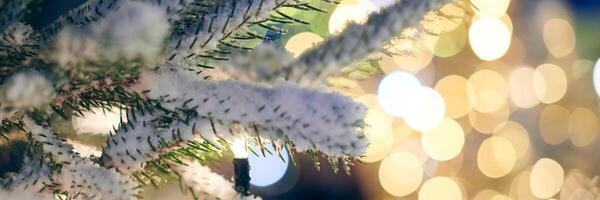 weihnachtsbaum bedeckt schnee mit gelben girlanden lichtern und bokeh kopierraum mit funkelndem bokeh foto