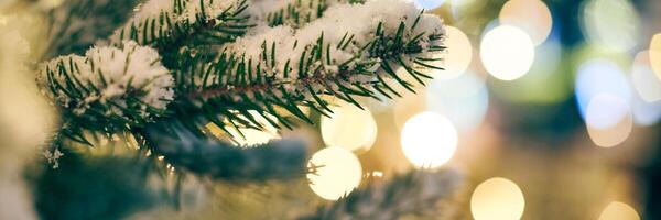 weihnachtsbaum bedeckt schnee mit gelben girlanden lichtern und bokeh kopierraum mit funkelndem bokeh foto