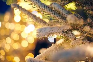 weihnachtsbaum mit gelben girlanden lichtern und bokeh kopierraum mit funkelndem bokeh, weihnachtszeit foto