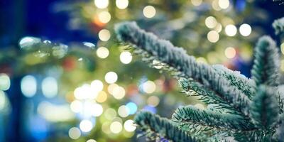 weihnachtsbaum bedeckt schnee mit gelben girlanden lichtern und bokeh kopierraum mit funkelnden lichtern foto