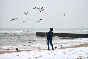 Alter Mann, der im Winter Vögel auf See füttert foto