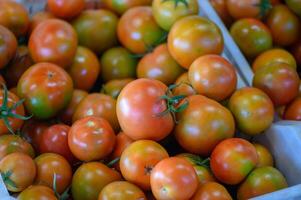 Tomaten im ein Box im ein Geschäft im Zypern 4 foto