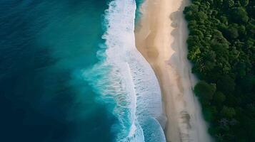 tolle Antenne Aussicht von Smaragd Grün Meer, klein Weiß Sand Strand mit Grün Wald friedlich und Weiß schaumig Wellen abstürzen auf das Ufer auf ein sonnig Tag. foto