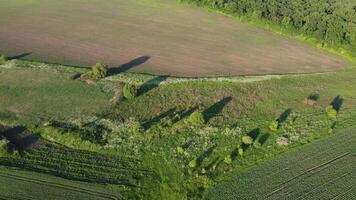 Antenne Schuss von groß Müll Stapel Lügen unter Feld im Landschaft. fliegend Über Müll LKW Schluss machen Müll beim öffnen setzt draussen. global Umwelt Verschmutzung Problem. oben Sicht. foto