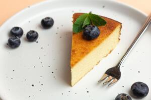 köstlich Essen Foto. Käsekuchen mit Blaubeeren mit schwer Schatten. Süss Konzept Rosa Hintergrund. schließen oben foto