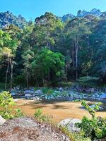 chaman Fluss im pahang, Malaysia, ist ein Natur Meisterwerk, das majestätisch Fluss, geboren von Kaskadierung Wasserfälle, geschmückt mit üppig Urwald Ausblicke, ein Oase zum Erholung, ein Magnet zum Touristen Freude. foto