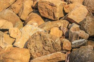 ein Libelle Sitzstangen auf das braun Felsen. foto