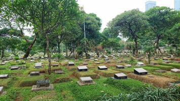 Situation von ein Öffentlichkeit Friedhof Das sieht aus Grün und schattig gelegen im das Stadt Center foto