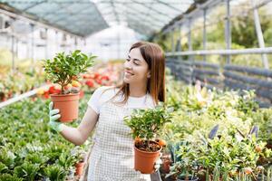 Frau hält ein Topf von Blumen im ihr Hände, wachsend Pflanzen zum Verkauf, Pflanze wie ein Geschenk, Blumen im ein Gewächshaus, eingetopft Pflanze. foto