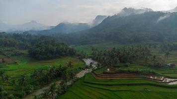 Grünes terrassiertes Reisfeld in Bruno, Purworejo, Zentraljava, Indonesien foto