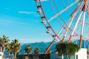 Aussicht von das Ferris Rad Attraktion gegen ein Hintergrund von Blau Himmel zwischen Palme Bäume. Ferris Rad im das georgisch Stadt von Batumi. foto