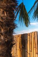 abstrakt Hintergrund auf ein tropisch Urlaub Thema. tropisch Hintergrund auf das Strand mit Palme Baum und Bambus Zaun. foto