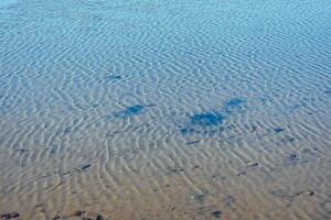 Wellen auf das Oberfläche von das Wasser. Hintergrund von Wellen im ein Teich mit klar Wasser und ein sandig Unterseite. foto