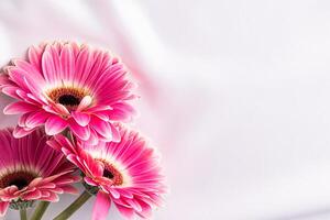 zart festlich, Hochzeit Hintergrund zum Design, Karte, Einladung. Satin- Stoff und Rosa Gerbera frisch Blumen. romantisch Design. ein Kopieren Raum foto