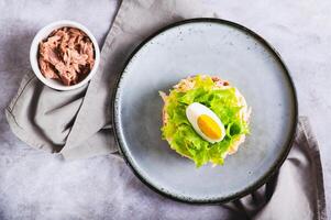 schließen oben von appetitlich Salat von Dosen- Thunfisch, Kartoffeln, Käse, Grüner Salat und Eier auf ein Teller oben Aussicht foto