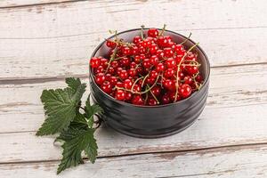 Süss reif rot Johannisbeere Beeren foto