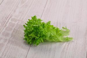 saftig frisch Grün frilis Salat foto