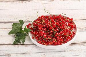 Süss reif rot Johannisbeere Beeren foto