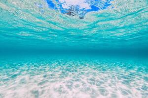 tropisch Kristall Meer mit sandig Unterseite unter Wasser im Hawaii foto