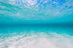 tropisch transparent Ozean mit Sand Unterseite unter Wasser foto