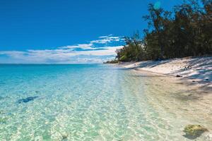 tropisch Landschaft - - Strand mit transparent Ozean und Blau Himmel von Mauritius foto