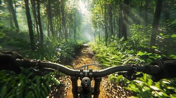 Kreuzfahrt auf ein Fahrrad inmitten üppig Bäume und Gras im ein Wald foto