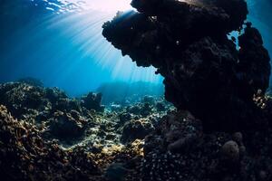 unter Wasser Szene mit Korallen, Felsen und Sonne Strahlen. tropisch Blau Meer foto