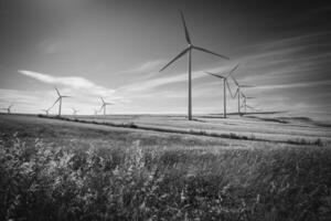 Windmühlen zur Stromerzeugung foto