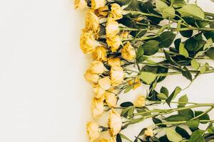 klein Gelb Busch Rosen auf ein Weiß Hintergrund mit ein Platz zum Text foto