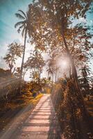 das Sonnenlicht scheint auf das weit Weg Seiten von das Bäume im Grün tropisch Wald, Thailand. foto