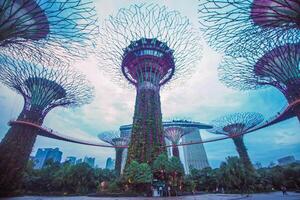 Beleuchtung im Gardens durch das Bucht im Singapur. foto