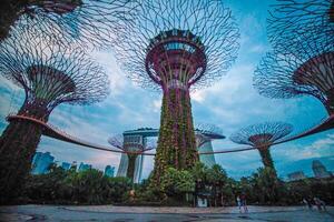 Beleuchtung im Gardens durch das Bucht im Singapur. foto