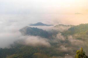 das atemberaubend Aussicht von ein Touristen Standpunkt wie Sie gehen Nieder ein Hügel auf ein nebelig Weg mit ein Hügel und ein Hintergrund von ein golden Himmel im Wald Park, Thailand. Regenwald. Vogel Auge Sicht. Antenne Sicht. foto