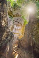 das Sonnenlicht scheint auf das weit Weg Seiten von das Bäume im Grün tropisch Wald, Thailand. foto