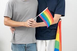 lgbt Gruppe. männlich Bisexualitäten Paar halten Hände ermutigen und Show lgbt Flagge, glücklich, Liebhaber im Liebe, Bisexualität, Homosexualität, Freiheit, Ausdruck, glücklich Leben, Leben Stil, Freiheit, Respekt foto