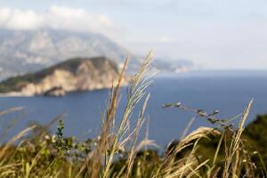 Winter Meer bunt Landschaft mit Blau Wasser von das adriatic Meer und das Insel von st. nikola in der Nähe von das Stadt, Dorf von Budva im Montenegro. Aussicht von über durch das Bäume. horizontal foto