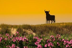 ein typisch schwarz Stier entlang das Spanisch Straßen foto